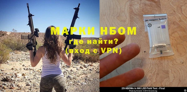 стаф Аркадак