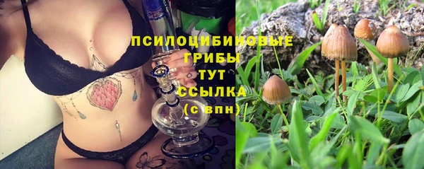 синтетический гашиш Армянск