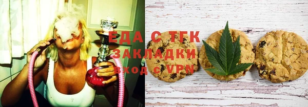 стаф Аркадак