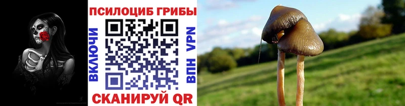 Галлюциногенные грибы Magic Shrooms  Пролетарск 